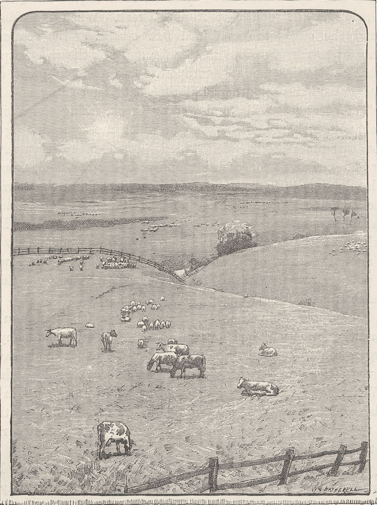 QUEENSLAND. South . Darking downs from King's creek 1890 old antique print